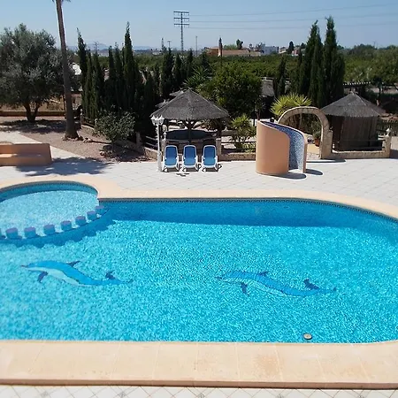 Caballos 埃尔斯波夫莱特斯