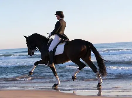 Caballos מלון אל פובלטס