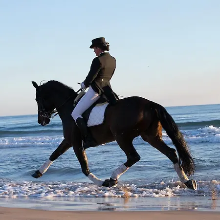 بنسيون لوس كابالوس إلس بوبليتس